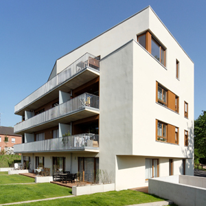 tilsiter_hinten_2